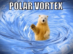 polar bear vortex