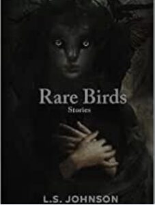 cover art for Rare Birds by L.S. Johnson