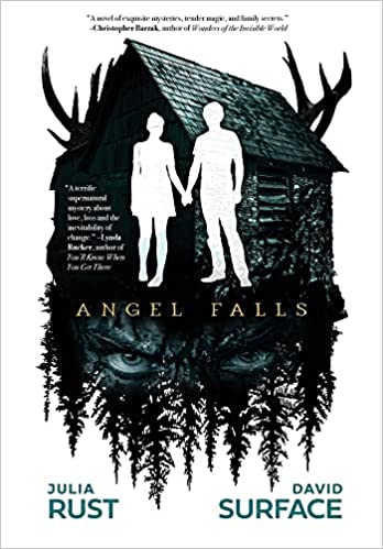 book review angel falls