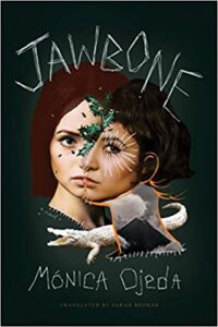 cover art for Jawbone by Monica Ojeda